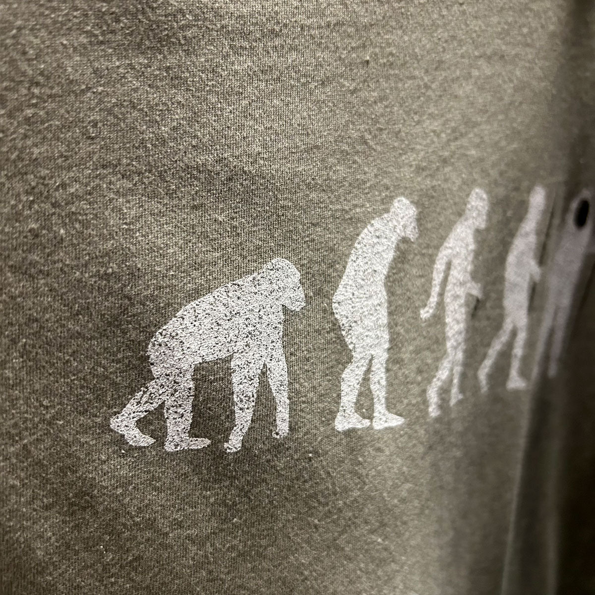 Evolution