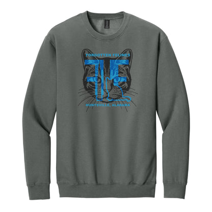 Forgotten Felines (SHIPS 11/01)