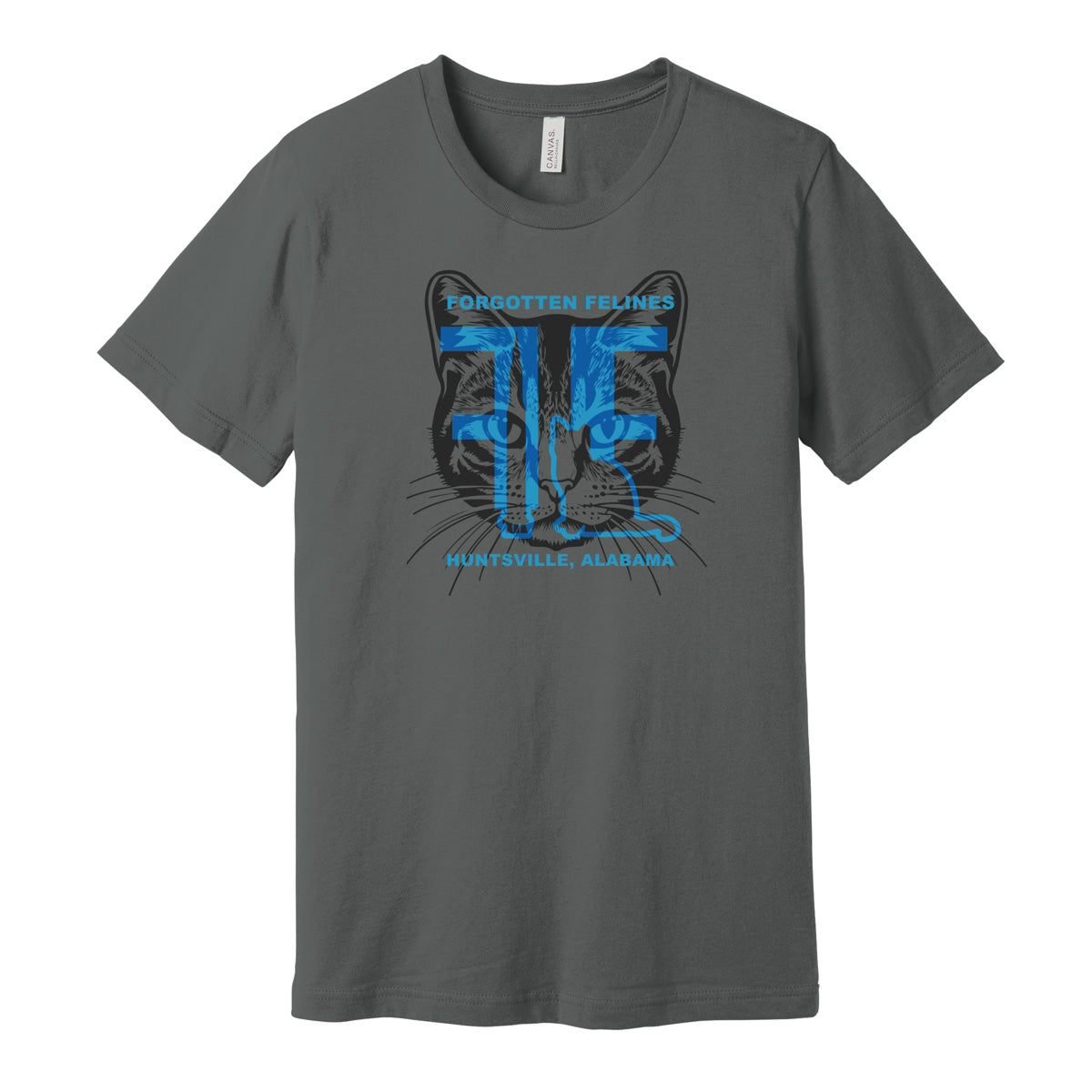 Forgotten Felines (SHIPS 11/01)