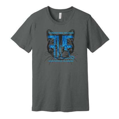 Forgotten Felines (SHIPS 11/01)