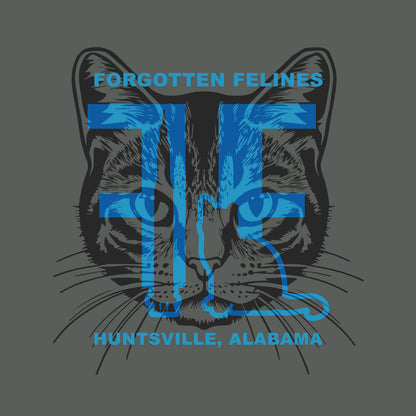 Forgotten Felines (SHIPS 11/01)