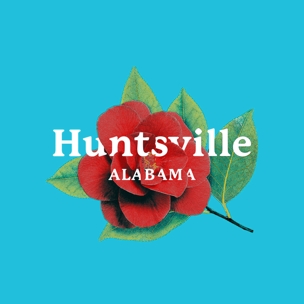 Thumbnail of red camellia flower with text "Huntsville Alabama" on teal background